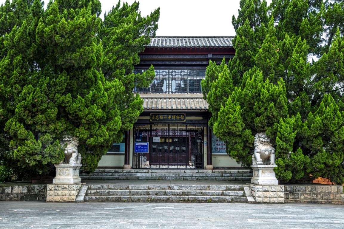大发彩票
