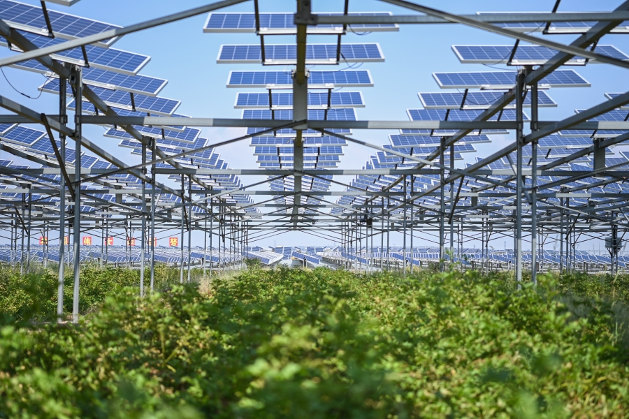 图5  大发彩票
在库布齐沙漠腹地绘就沙漠生态治理与综合能源高效利用新画卷