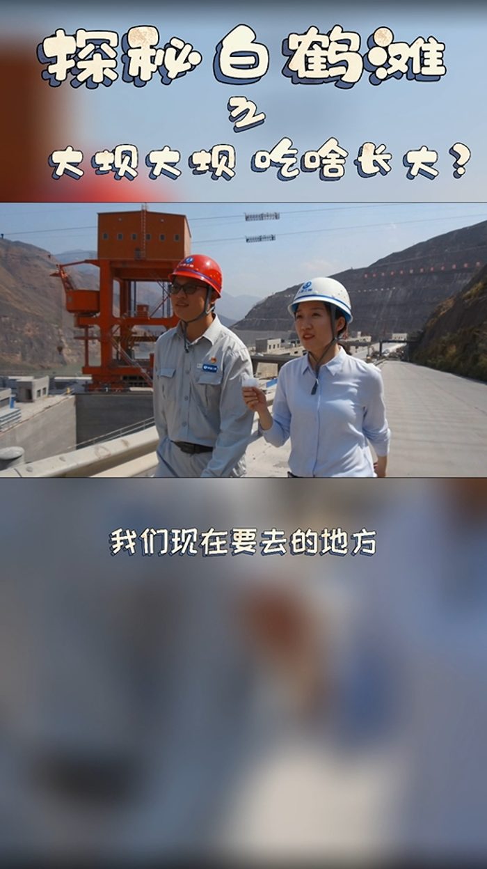 大坝大坝，吃啥长大？